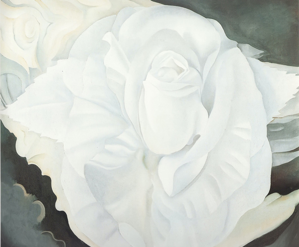 White Rose New Mexico by Georgia O'Keeffe | Oil Painting Reproduction