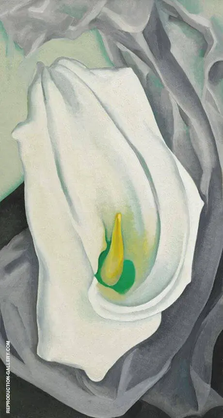White Calla Lily 1927 By Georgia O'Keeffe
