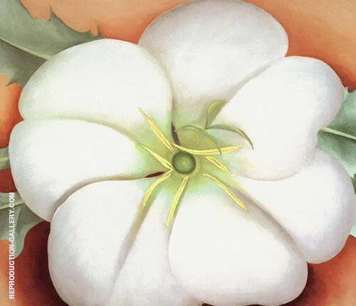 White Flower On Red Earth 1943 2 By Georgia O'Keeffe
