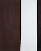 The Gate 1954 By Barnett Newman