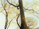 Tronc de Hetre et Branches Au 1930 By Leon Spilliaert