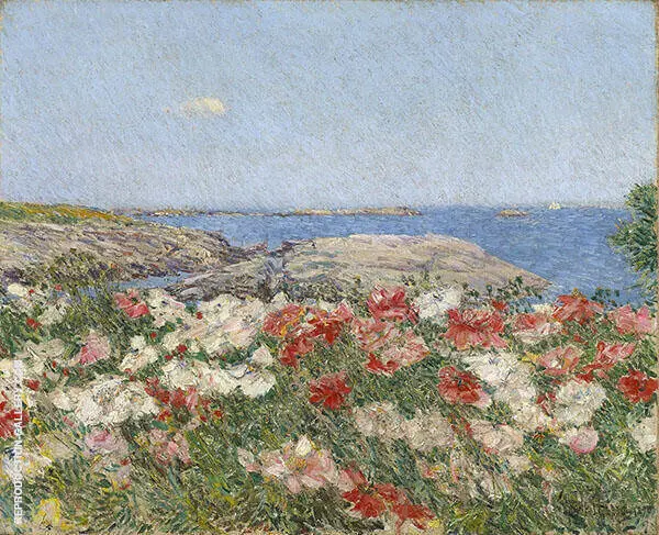 Poppies Isles of Shoals 1890 By Childe Hassam
