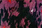Untitled 1974 By Clyfford Still