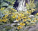 Black Eyed Susans By A J Casson