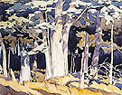 Old Maple By A J Casson