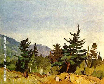 Wood Land Combermere By A J Casson