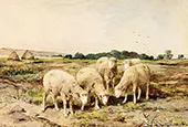 Grazing Sheep By Anton Mauve