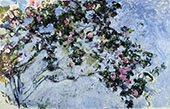 The Rose Bush 1925 By Claude Monet