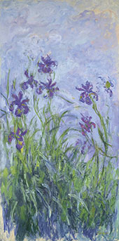 Iris Mauves By Claude Monet