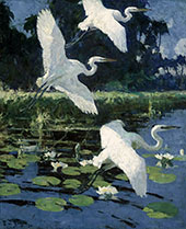 Herons and Lilies 1934 By Frank Weston Benson