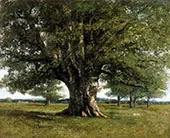 The Oak at Flagey 1864 By Gustave Courbet
