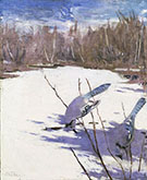 Blue Jays in Winter 1905-09 By Abbott H Thayer