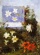 Flower Studies 1886 By Abbott H Thayer