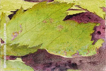 Heterocampa Biundata Walker I By Abbott H Thayer