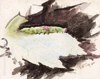 Heterocampa Biundata Walker By Abbott H Thayer