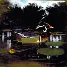 Male Wood Duck in a Forest Pool 1905-09 By Abbott H Thayer