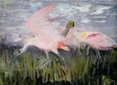Roseate Spoonbills c 1905 By Abbott H Thayer