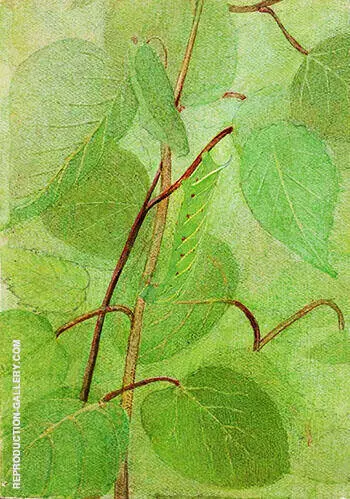 Sphinx Caterpillar By Abbott H Thayer