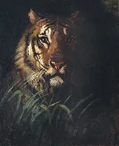 Tiger's Head 1874 By Abbott H Thayer