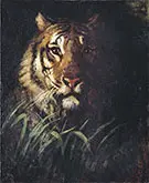 Tiger's Head 1874 By Abbott H Thayer