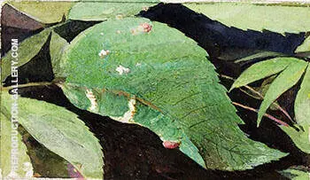 White Birch Leaf Edge Caterpillar By Abbott H Thayer