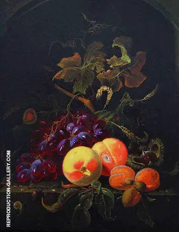 Fruit Still Life with Peaches Grapes and Apricot By Abraham Mignon