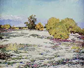 Monterey Desert Verbena Palm Springs 1926 By Alson Skinner Clark