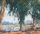 Big Tree 1925 By Alson Skinner Clark