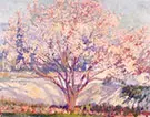 Almond Tree in Bloom By Alson Skinner Clark