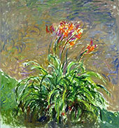 Hamerocallis c1917 By Claude Monet