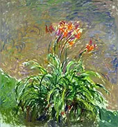 Hamerocallis c1917 By Claude Monet