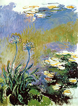Agapanthus 1917_820 By Claude Monet