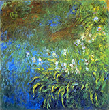 Irises 1917_833 By Claude Monet