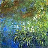 Irises 1917_833 By Claude Monet