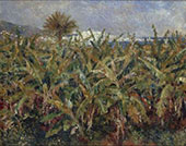 Field of Banana Trees near Algiers 1881 By Pierre Auguste Renoir