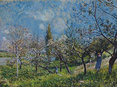 Orchard in Spring 1881 By Alfred Sisley