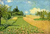 Wheatfields or Cornfields near Argenteuil 1873 By Alfred Sisley