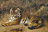 Tiger By Jean Leon Gerome