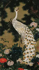 Old Pine Tree and Peacock 1761 By Ito Jakuchu