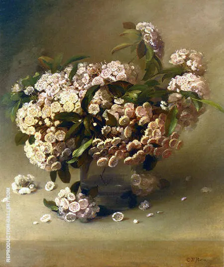 Mountain Laurel By Charles E Porter