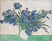 Irises 1890 By Vincent van Gogh