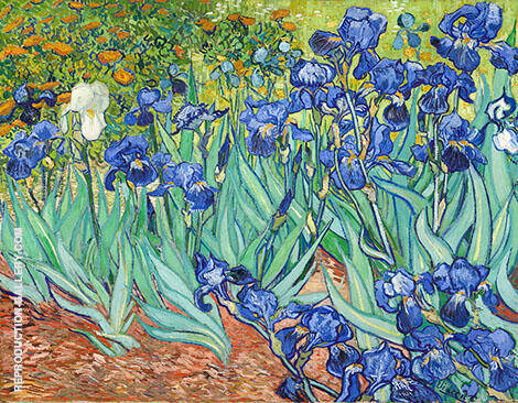 Irises 1889 by Vincent van Gogh | Oil Painting Reproduction