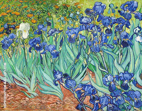 Irises 1889 By Vincent van Gogh