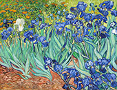 Irises 1889 By Vincent van Gogh