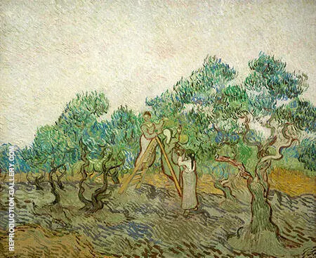 Women Picking Olives 1889 By Vincent van Gogh