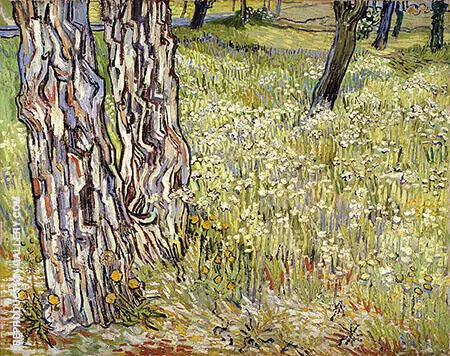 Tree Trunks in the Grass c1890 By Vincent van Gogh