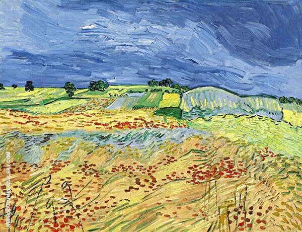The Fields By Vincent van Gogh