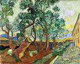 The Garden of Saint Pauls Hospital 1889 By Vincent van Gogh