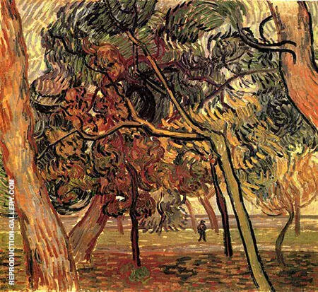 Pine Trees in the Garden of the Asylum November 1889 By Vincent van Gogh