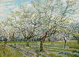 Orchard with Blossoming Plum Tree 1888 By Vincent van Gogh
